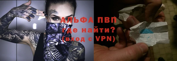 твердый Магас