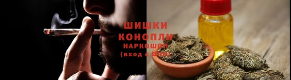 твердый Магас