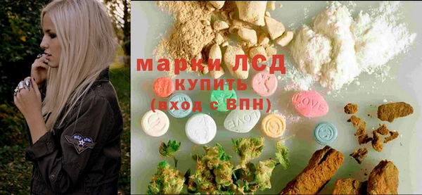 твердый Магас