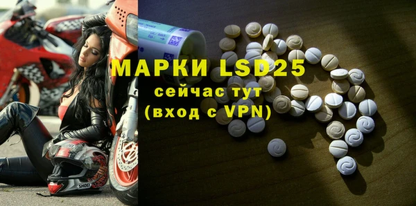 твердый Магас