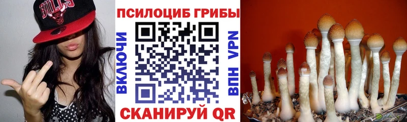 Галлюциногенные грибы GOLDEN TEACHER  ссылка на мегу tor  Таруса  где можно купить наркотик 